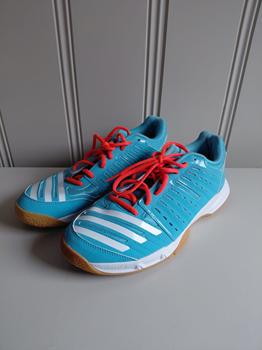 41/42 ASICS sport zaal -GW