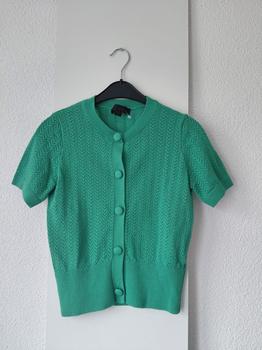 38 ZARA groen -RIJ